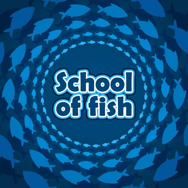 School Of Fish Image 